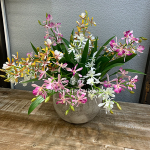 迷你万代兰仿真假花室内客厅插花摆件绢花石斛卡特兰玄关摆设道具