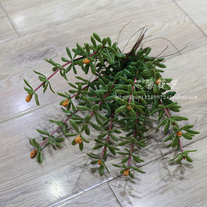 仿真花假花马齿苋假草客厅摆件植物墙装饰花软装假草绿植花艺