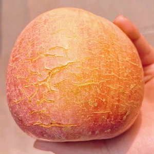 新鲜徐州丰县大沙河红富士苹果10斤特级脆甜野生水果冰糖心丑萍果