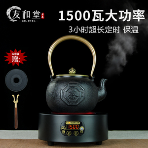 铁壶铸铁泡茶煮茶烧水壶日式纯手工无涂层生铁壶电陶炉煮茶器套装