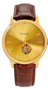 飞力达手表faleda专柜镂空正品进口机芯机械表防水表男士手表6672