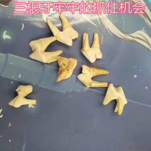 狼牙根