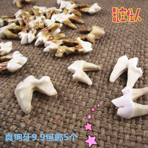 狼牙根