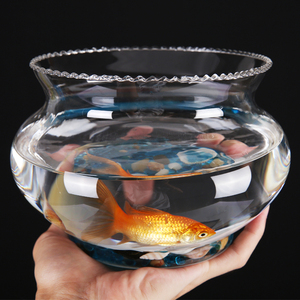 创意水培花器绿萝 花边生态透明 圆形玻璃 金鱼缸 乌龟缸  斗鱼缸