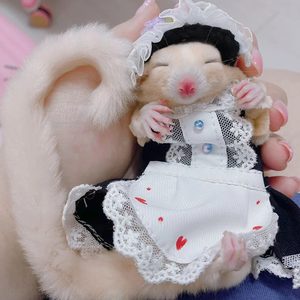 黑黑酱定制蜜袋鼯手工小衣服用品仓鼠花枝鼠松鼠金丝熊飞鼠服装