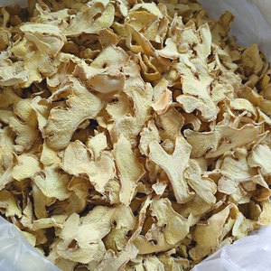 产地直发 云南特产罗平小黄姜干姜片原始点老姜茶包邮500克/袋装