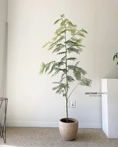 植物花耳环