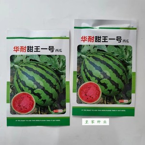 华耐甜王一号西瓜种子中早熟果实高圆形抗病甜度高大红瓤西瓜种籽