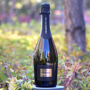 prosecco意大利普罗塞克botter家干型起泡酒干白葡萄酒sparkling