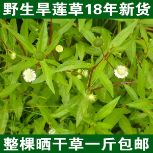 新货墨旱莲野生晒干旱墨莲旱莲草墨水草乌心草500克中草药全包邮