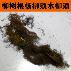 中药材柳树根杨柳须晒干水柳须红龙须 青龙须支持药检正品包邮