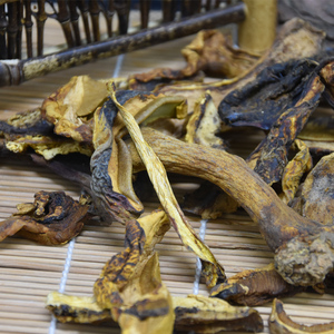 重庆 石柱土特产 菌类  无污染 野生菌 黄水大脚菌200克 包邮