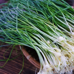 野葱新鲜野菜胡葱马葱野蒜小根蒜野荞头小白葱沙葱500g 满3包邮