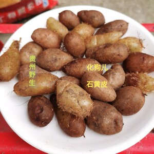 贵州野生石黄皮化狗儿肾蕨果凤凰蛋马骝卵新鲜现挖中药材20斤批发