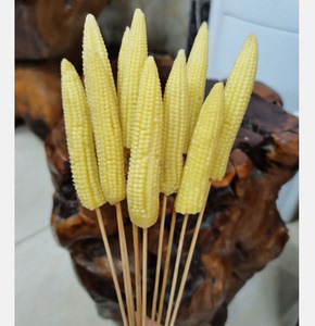 速冻去皮玉米笋 中餐火锅串串烧烤食材每份2斤约100根左右