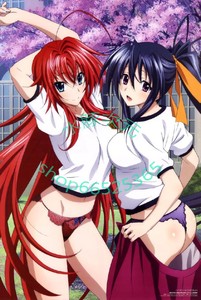 high school dxd 恶魔高校d×d 动漫海报定制定做挂壁画墙纸墙贴