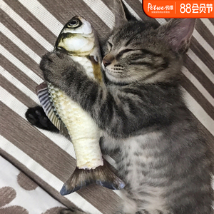 猫薄荷鱼鱼