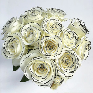 香奈儿白玫瑰 黑线条高端艺术仙花 生日爱情表白求婚礼物全国速递