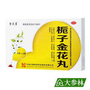 馨茯康 栀子金花丸 9g*6袋/盒