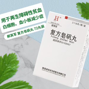 郝其军 复方皂矾丸 0.