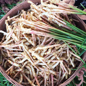 80mslibilly淘宝眉山泡菜泡姜坛泡老姜老黄姜四川泡椒母水酸姜非仔