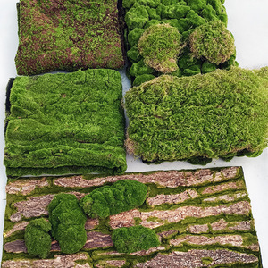 软装绿植景观造景仿真青苔块苔藓植绒草皮橱窗DIY艺术装饰绿草坪