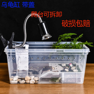 塑料小乌龟缸带晒台造景小型宠物龟专用缸巴西龟饲养箱两栖盒带盖