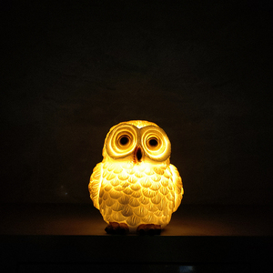 太阳能可爱猫头鹰花园装饰灯庭院草地树脂摆件家用室外仿生景观灯