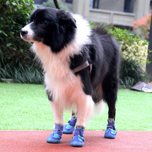 【大白熊鞋子】大白熊鞋子品牌,价格 - 阿里巴巴