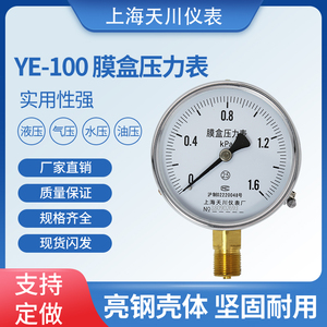膜盒压力表YE-100 25kPa燃气千帕不锈钢低压正负压 真空 天川仪表