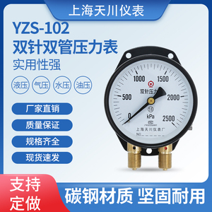 双针双管压力表YZS-102上海天川仪表厂汽修专用火车铁轨路徽标志