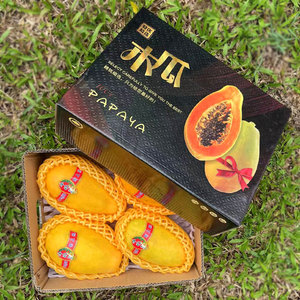 海南红心木瓜礼盒装新鲜当季水果5斤/8斤树上熟牛奶木瓜下奶产妇
