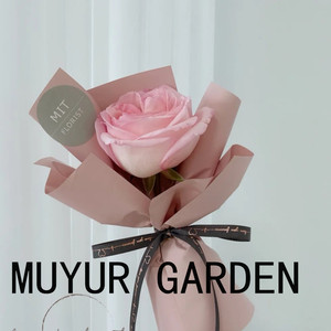 玫瑰花单支母亲节真花康乃馨1朵一枝只小花束鲜花速递同城配送