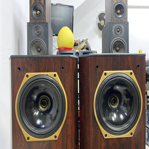 天朗音箱书架式