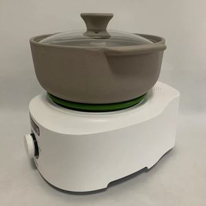 飞利浦hr2210汽锅醇汤煲多功能电炖煲汤锅养生炖盅