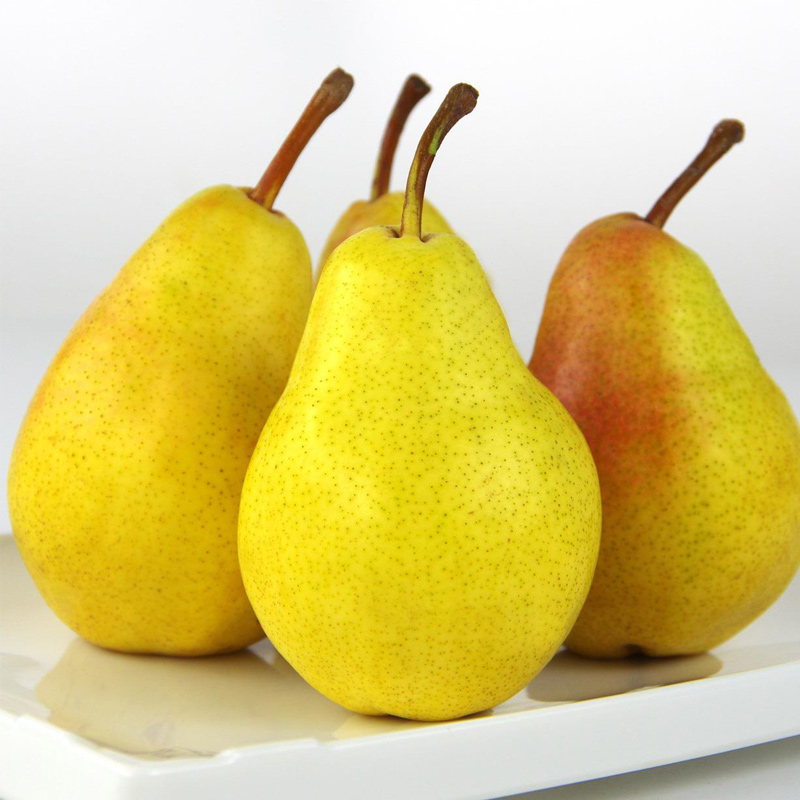 香软太婆梨大头梨茄梨洋梨葫芦梨香蕉梨新鲜水果软甜啤梨5斤包邮