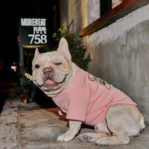 恶霸犬衣服英国斗牛专用法斗柴犬卫衣秋冬装宠物狗狗潮牌30斤中型
