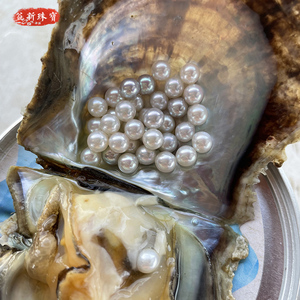 原生态海水珍珠中国南珠直播间开贝取马氏贝海水珍珠akoya