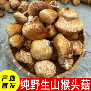 东北野生猴头菇干货特产长白山猴头菌菇粉养胃猴菇滋补煲汤菌新货