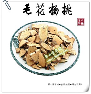 福建野生 白毛桃 白藤梨根 毛花杨桃 毛吕根 山蒲桃正品推荐
