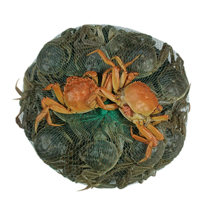 六月黄小螃蟹26只鲜活蟹大闸蟹河蟹毛蟹稻田蟹醉蟹香辣蟹海鲜水产