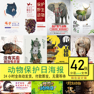 保护动物海报