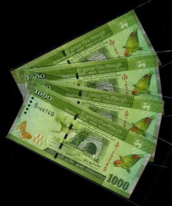 全新unc 斯里兰卡1000卢比纸币 短尾鹦鹉 2010年