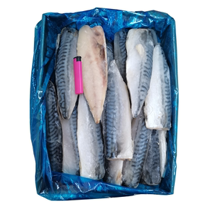 青花鱼片5kg 一条180克-200克 约25条 冷冻新鲜盐渍青花鱼