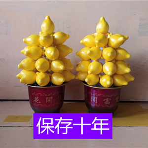 仿真黄金果盆景假五代同堂花开富贵盆乳茄牛角茄五子登科摆放很久