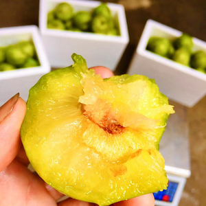 浦城奈果新鲜水果脆甜油奈脱骨李子非古田青柰果五斤包邮坏果包赔