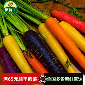 新鲜蔬菜七彩萝卜彩色迷你手指胡萝卜紫色黄色手指萝卜小人参500g
