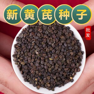 【药材种籽中药种植】药材种籽中药种植品牌,价格 - 阿里巴巴