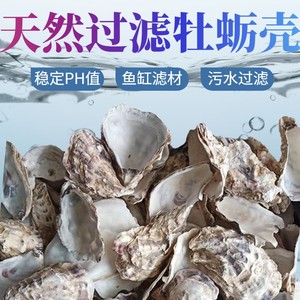 生蚝壳滤材鱼池过滤材料牡蛎壳天然海蛎壳装饰鱼缸生化底滤缸贝壳
