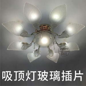吸顶吊灯6/8/10头夹片花朵奶白磨砂花瓣勺子灯片插片玻璃灯罩配件